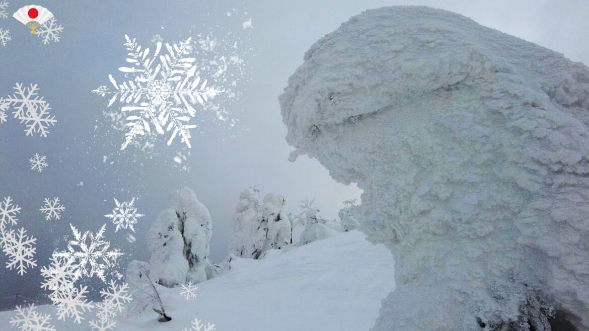 【Vlog: Akita 】I met some ice monsters that looked like white Godzilla.