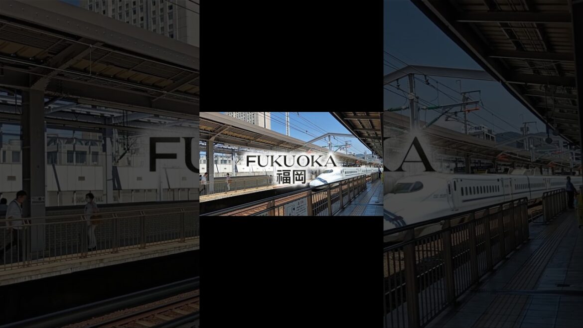 みんなさんのれんきゅうはどうですか? #japan #ngavivu #travel #fukuoka #hakata #kokura