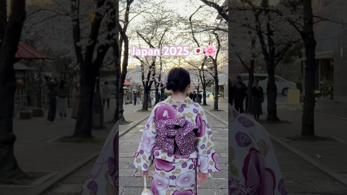 Magnetic Japan 2025 #sakura #japan #tokyo #osaka #travel #nara #kyoto #drift #cars #japantravel #jdm