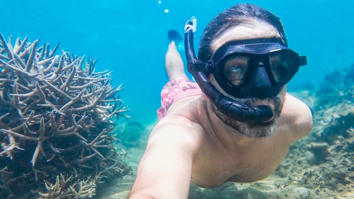 Okinawa Snorkeling Spots Okinawa Snorkeling Spots