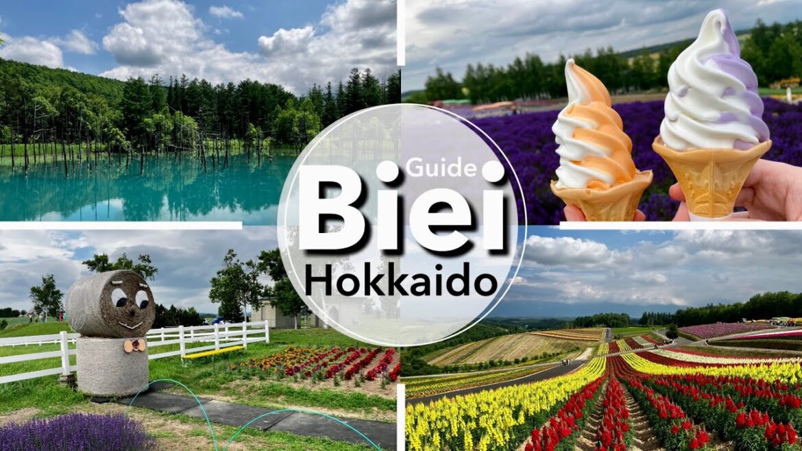 BIEI Travel Guide | How to visit without a car to Blue Pond and Shikisai-no-oka in Hokkaido