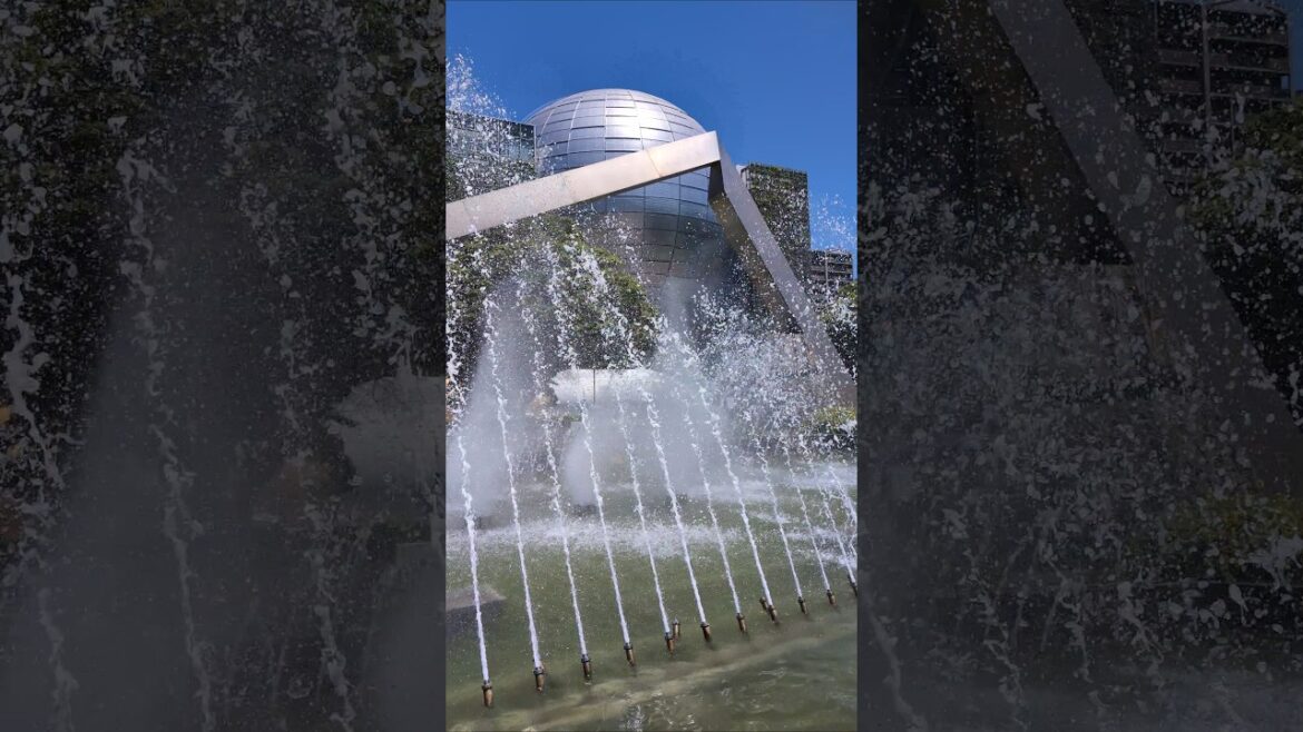 εε€ε± Nagoya π―π΅ Japan 4K Travel Short εε€ε± Nagoya π―π΅ Japan 4K Travel Short