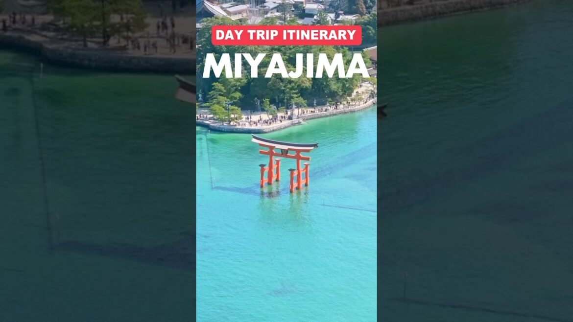 One day on Miyajima Island (full itinerary) #japantravel #travelvlog