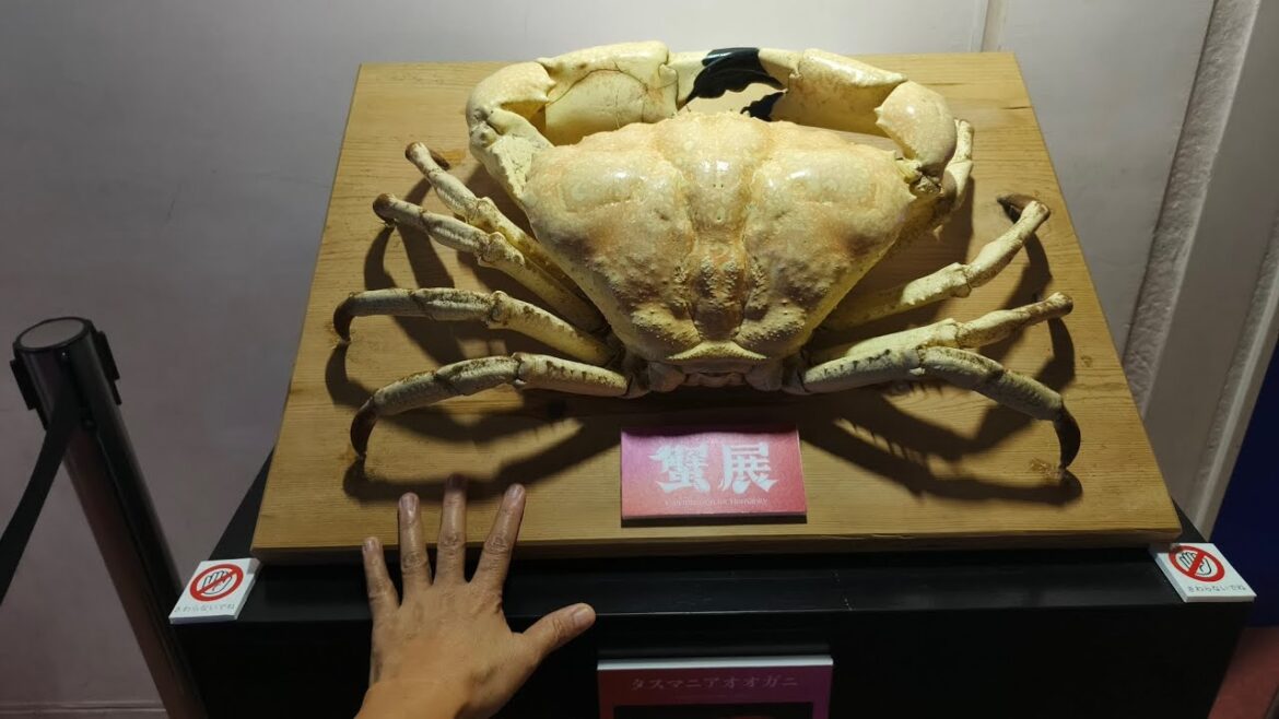 Sendai Umino-Mori Aquarium 8-6-25