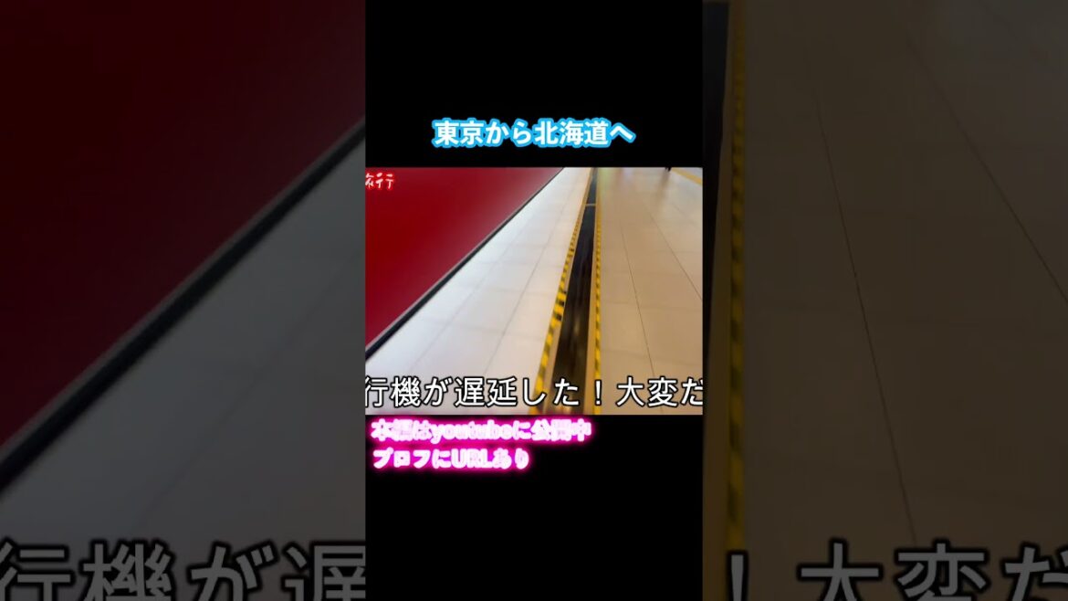 北海道旅行で積丹と小樽を観光しました！ドライブ旅行vlog #旅行vlog #北海道旅行 #ドライブ旅行