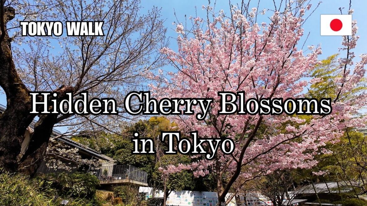 Hidden Cherry Blossom Garden near Harry Potter Studio Tour Tokyo | Kōyama Garden Hidden Cherry Blossom Garden near Harry Potter Studio Tour Tokyo | Kōyama Garden