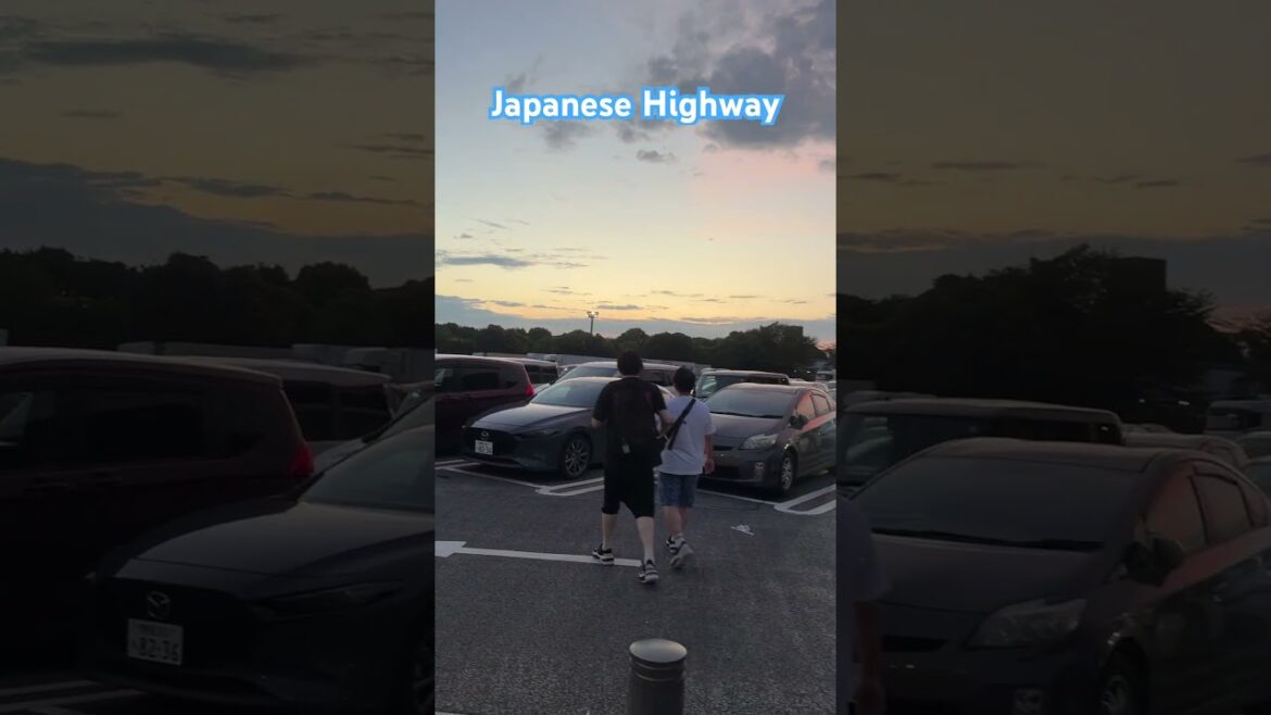 Japanese Highway #japan #travel #highway #tokyo #japantravel