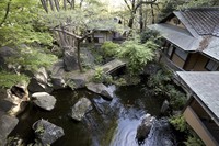A tranquil garden is seen at the Matsumoto Memorial Music Guest House in Tokyo's Setagaya Ward, April 17, 2023. (Mainichi/Akihiro Ogomori)