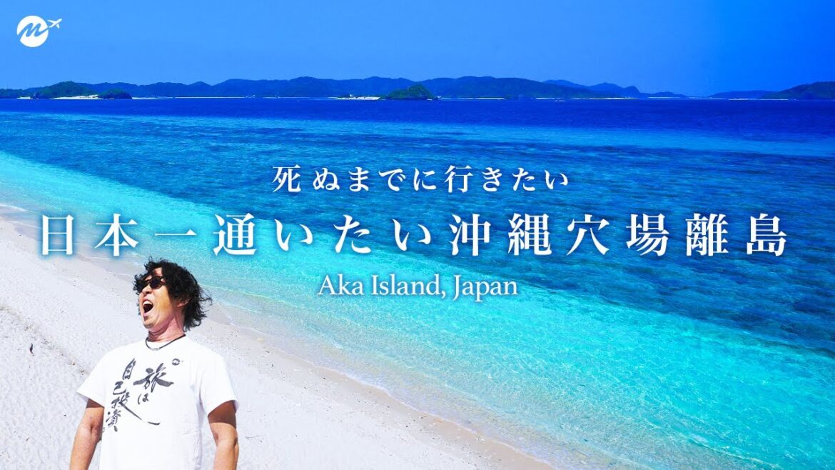 【教えたくない】沖縄No.1?世界No.1?穴場離島・阿嘉島(あかじま)のおすすめ観光スポットがエグすぎた【慶良間諸島・夏休み・民宿・ホテル・ニシバマビーチ・シュノーケリング・慶留間島・外地島】 【教えたくない】沖縄No.1?世界No.1?穴場離島・阿嘉島(あかじま)のおすすめ観光スポットがエグすぎた【慶良間諸島・夏休み・民宿・ホテル・ニシバマビーチ・シュノーケリング・慶留間島・外地島】