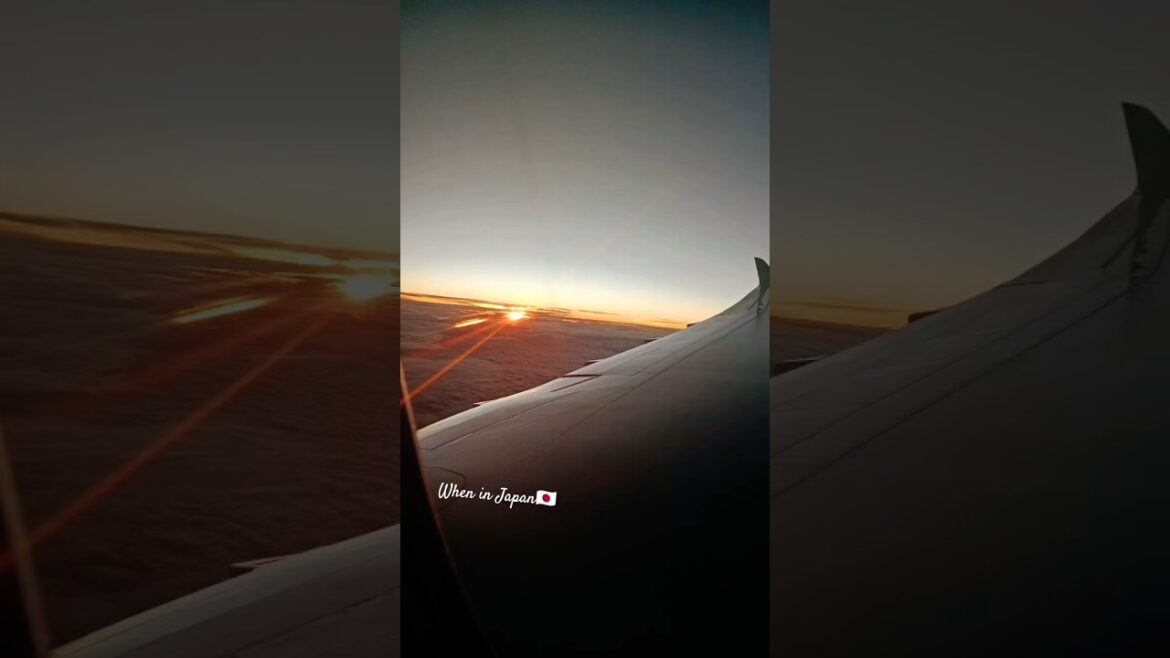 #japan 🇯🇵 travel