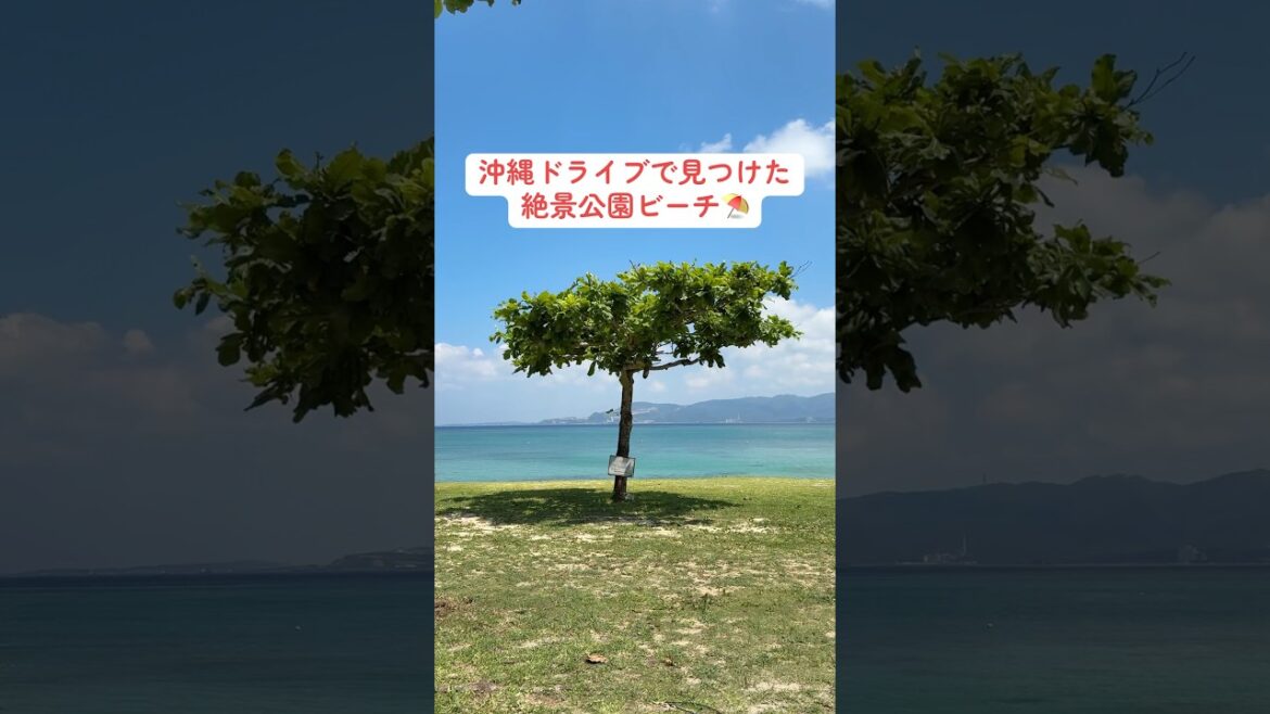 【沖縄ビーチ】名護市・幸喜ビーチに行ってみた 【美しき名護湾】 #shorts