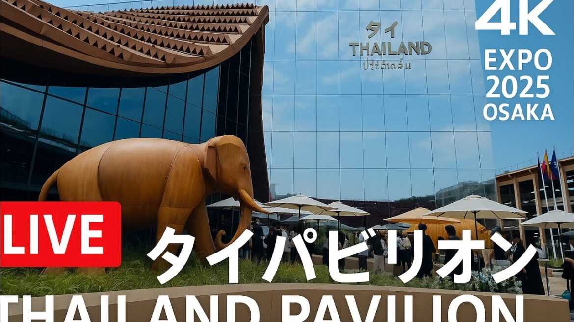 大阪万博 🇹🇭パビリオンOSAKA EXPO 2025 Live | Thailand Pavilion Access & Massage 大阪万博 🇹🇭パビリオンOSAKA EXPO 2025 Live | Thailand Pavilion Access & Massage