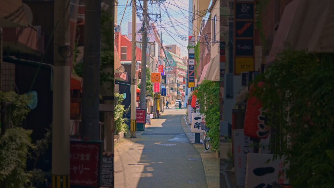 🇯🇵夏の帰り道🥢 kyushu fukuoka