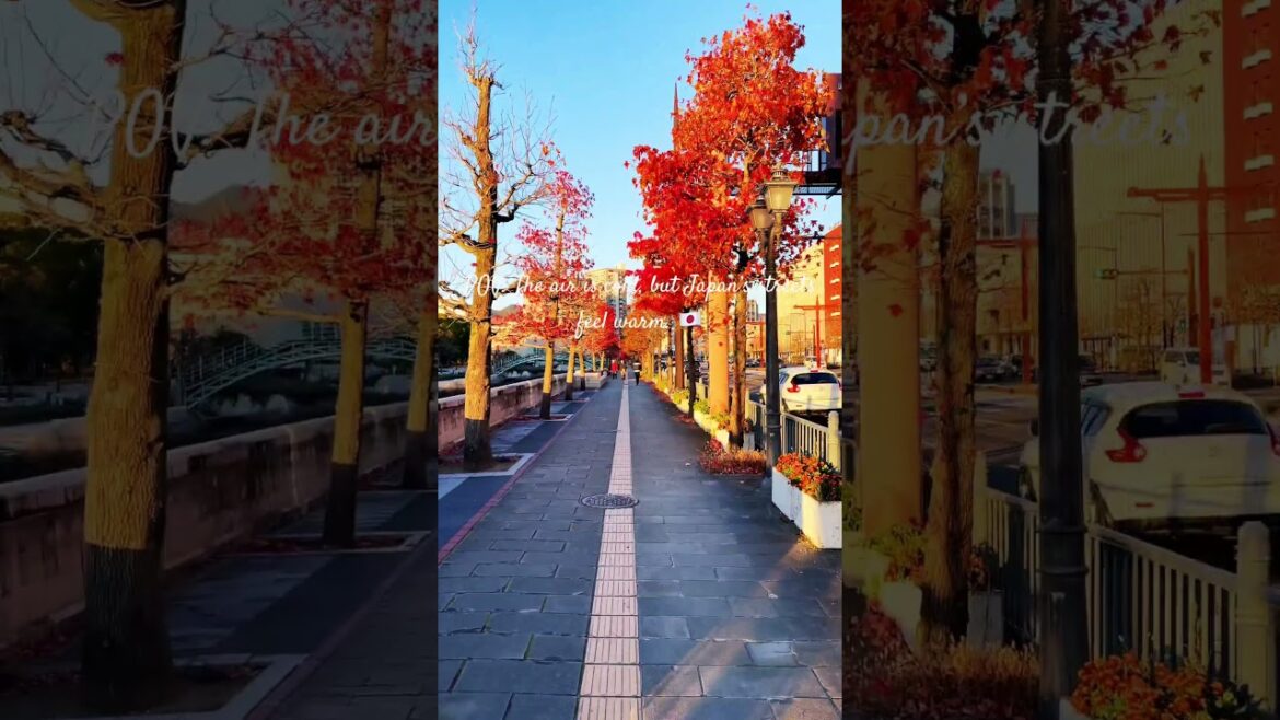 Winter Walk in Nagasaki Japan 🍁 Red Leaves & Cozy Streets | Japan Travel #japan #nagasaki #shorts