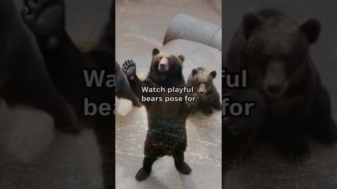 Everyone Goes to Tokyo. I Found This Hidden Gem Instead #shorts Everyone Goes to Tokyo. I Found This Hidden Gem Instead #shorts