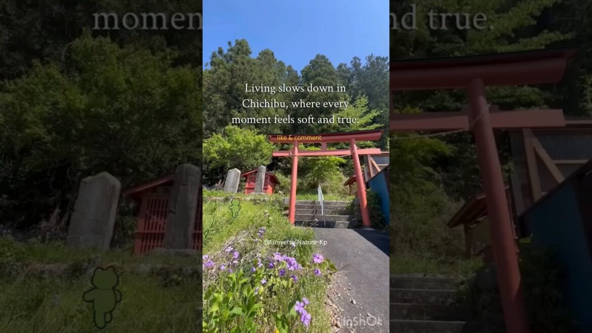 Japanese 🇯🇵 Countryside, Chichibu city 😍 #shorts #japanese #nature #natureview #real #naturediary