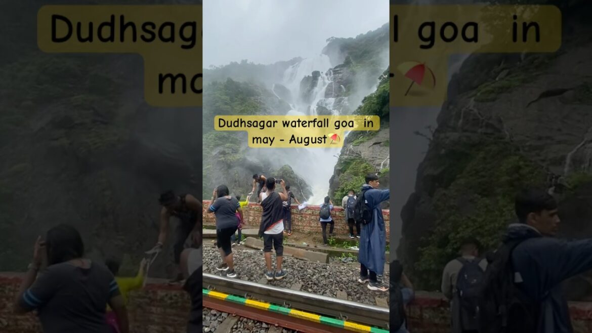 Dudh sagar waterfall goa⛱️ in between may to August look like this | #dudhsagar #dudhsagarwaterfall