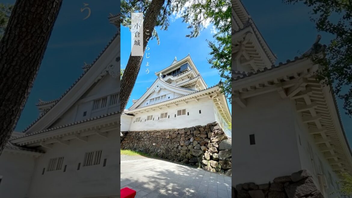 🏯小倉城 こくらじょう | 北九州。小倉 #travel #japan #kyushu