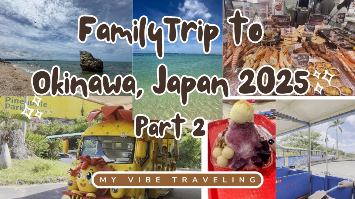 Family trip to Okinawa, Japan! Nago Pineapple Park, Itoman Fish market, Okinawa Zoo & Museum, Beach!
