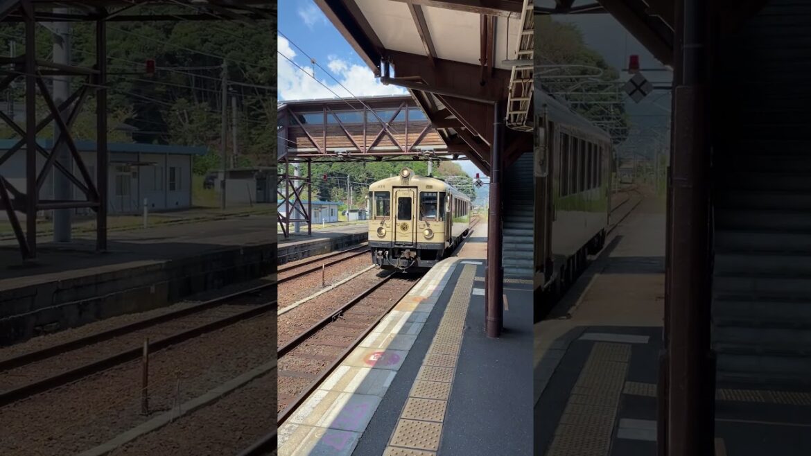 Kyoto, Japan π―π΅ | Temples, Cherry Blossoms & Timeless Beauty #travel #travelvideo Kyoto, Japan π―π΅ | Temples, Cherry Blossoms & Timeless Beauty #travel #travelvideo