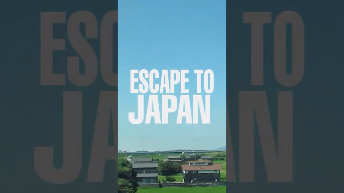 ESCAPE TO JAPAN kyoto & kawaguchiko out now !!  #japan #travel #vlog #kawaguchiko #mtfuji #kyoto