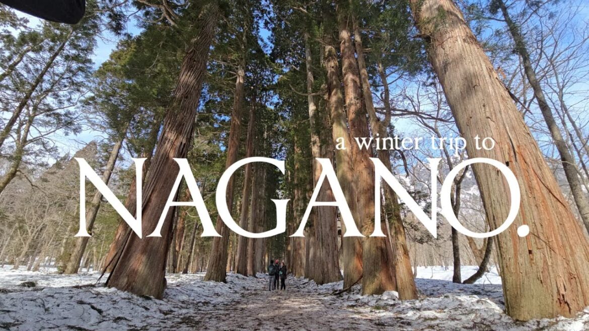 NAGANO Japan, Winter at Nagano, Togakushi Shrine, Giant Cedar Trees Adventure, Ramen Misoya Vlog NAGANO Japan, Winter at Nagano, Togakushi Shrine, Giant Cedar Trees Adventure, Ramen Misoya Vlog