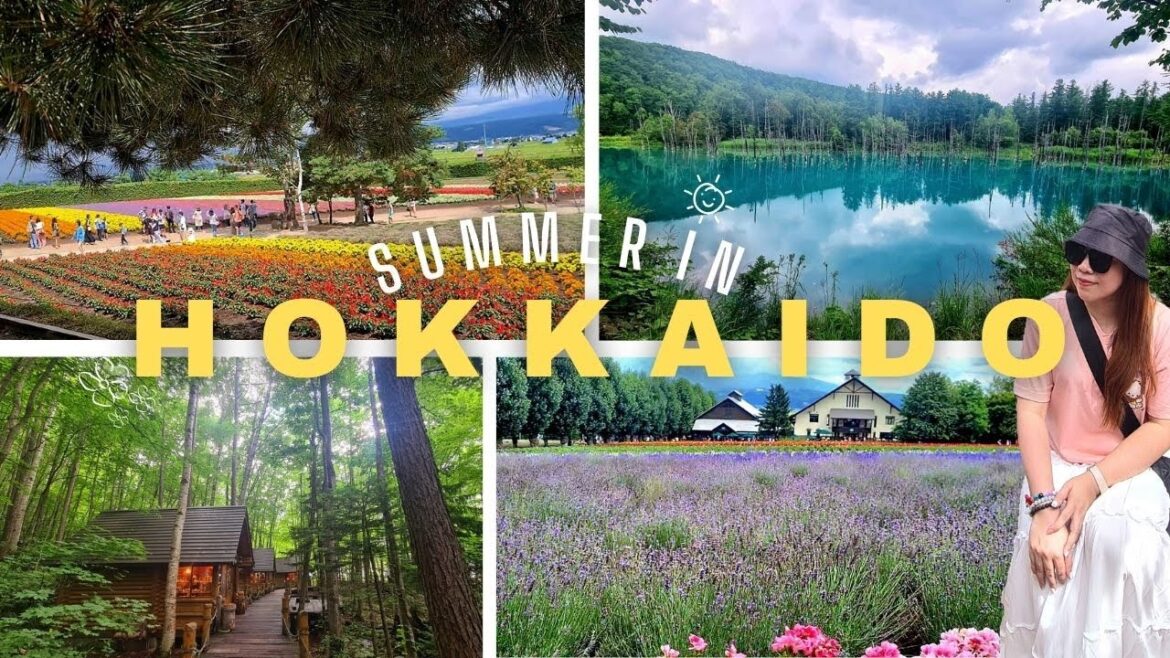 Summer In Hokkaido, Japan 🌸