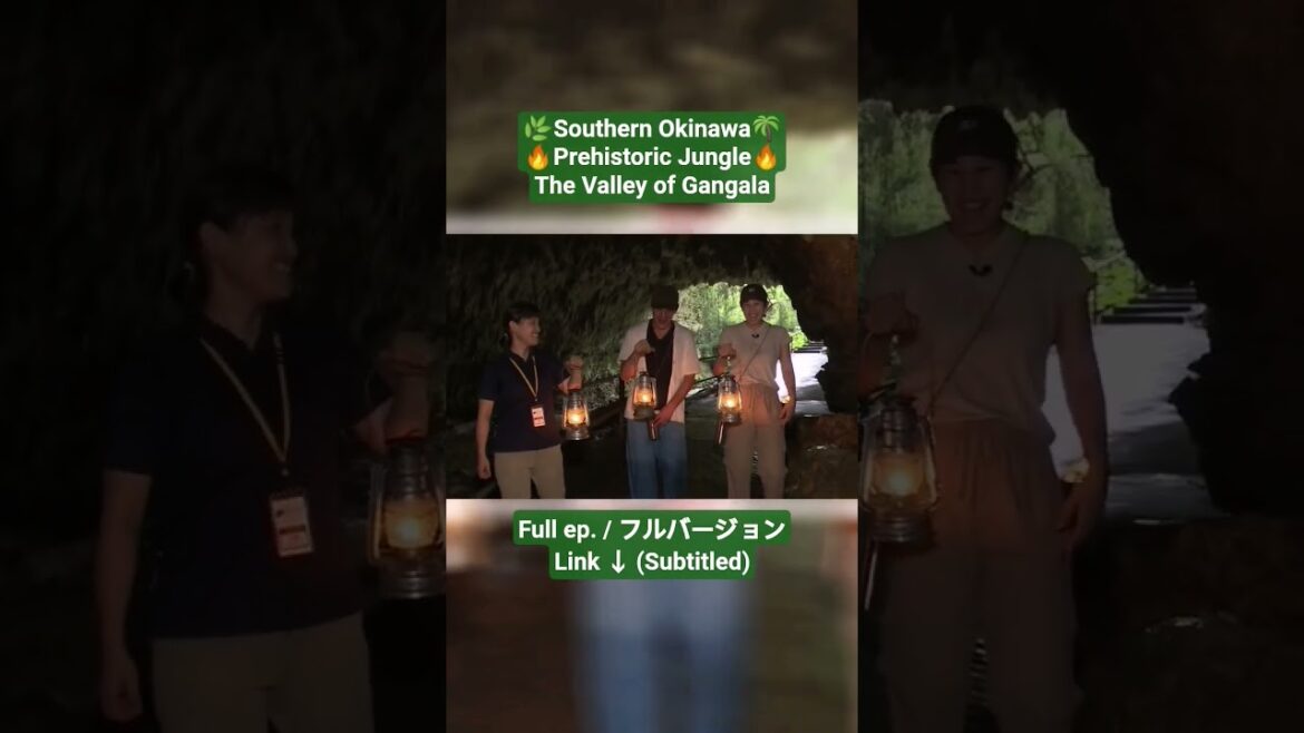 【#OKINAWA #PREHISTORIC #JUNGLE 】🌿 #沖縄 南部の #原始 #ジャングル 🌴 #ガンガラーの谷 #Valley of #Gangala ！🔥