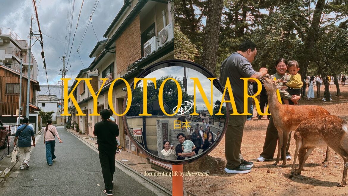 kyoto + nara day trips from osaka 🏯 hankyu & hinotori sightseeing train (japan travel vlog ep. 3) kyoto + nara day trips from osaka 🏯 hankyu & hinotori sightseeing train (japan travel vlog ep. 3)