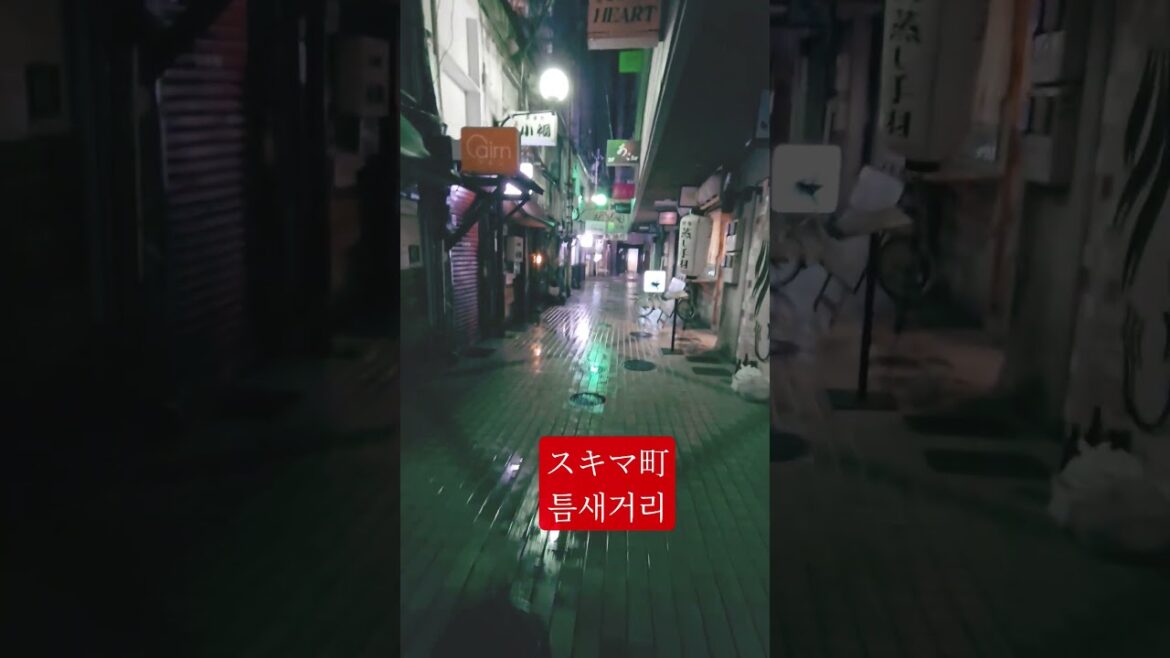 이자카야 좋아하는 사람들 일본 틈새거리여행 #구마모토 #구마모토여행 #일본소도시여행 #일본소도시 #이자카야거리 #틈새거리 #일본골목길