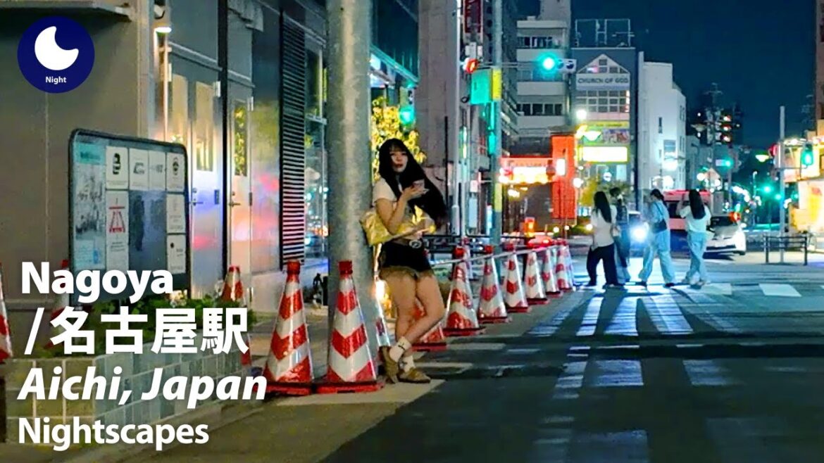 ⁴ᴷ Aichi: Nagoya Station (愛知県: 名古屋駅) – Japan Walking Tour (August, 2025) ⁴ᴷ Aichi: Nagoya Station (愛知県: 名古屋駅) - Japan Walking Tour (August, 2025)