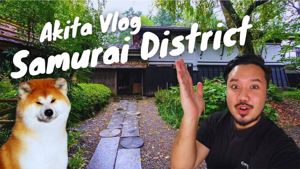 Akita Vlog: Kakunodate Samurai Village + Akita Inu Petting at Enishi House! 🇯🇵