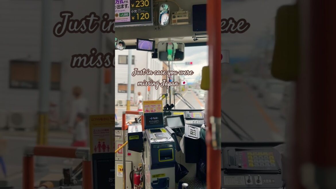 You hear this and you instantly miss Japan 🇯🇵 #japan #travel #kansai #osaka