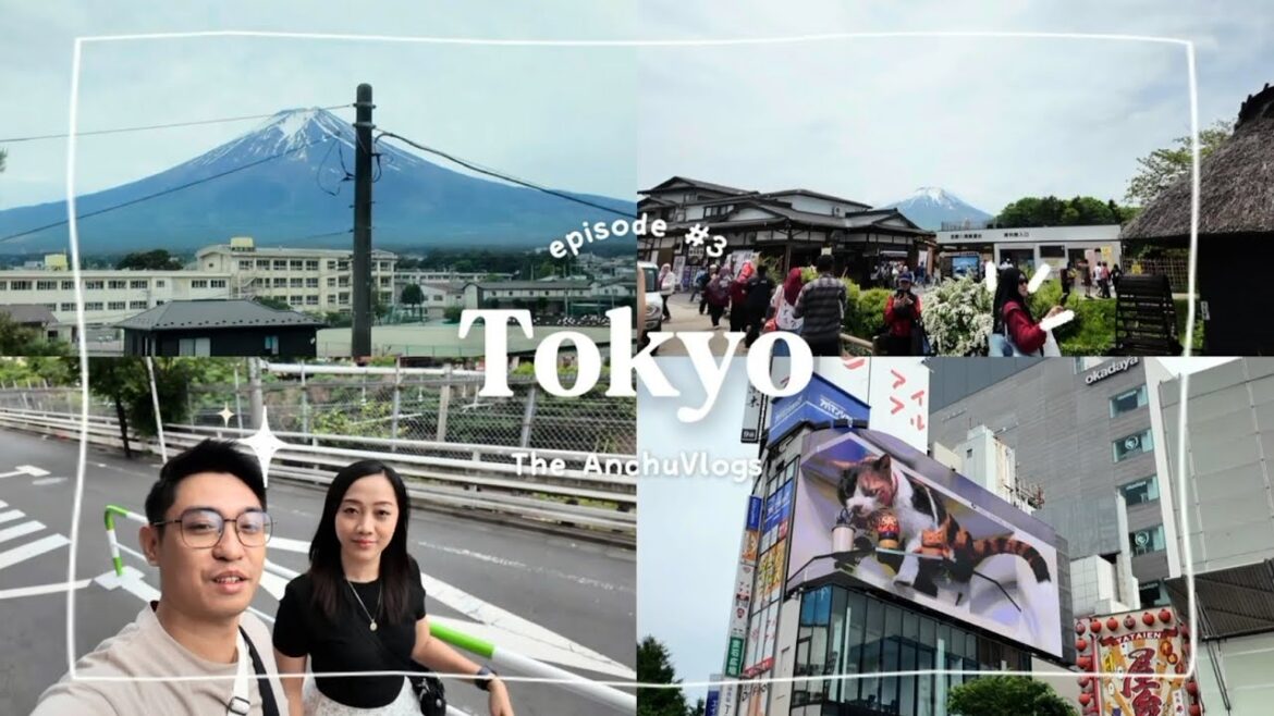 Tokyo 🇯🇵 (Ep. 3) Exploring some tourist spots in Mt. Fuji in DIY‼️