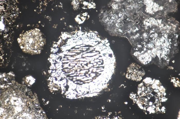 Chondrules in a meteorite sample