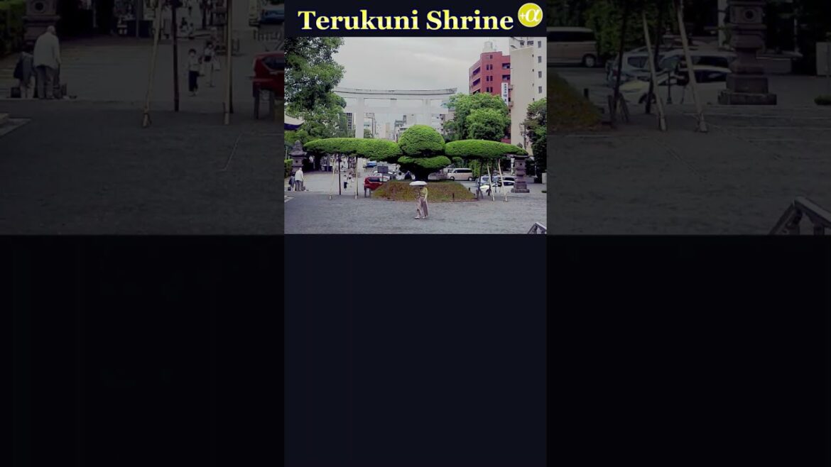 Terukuni Shrine in Kagoshima City #Shorts