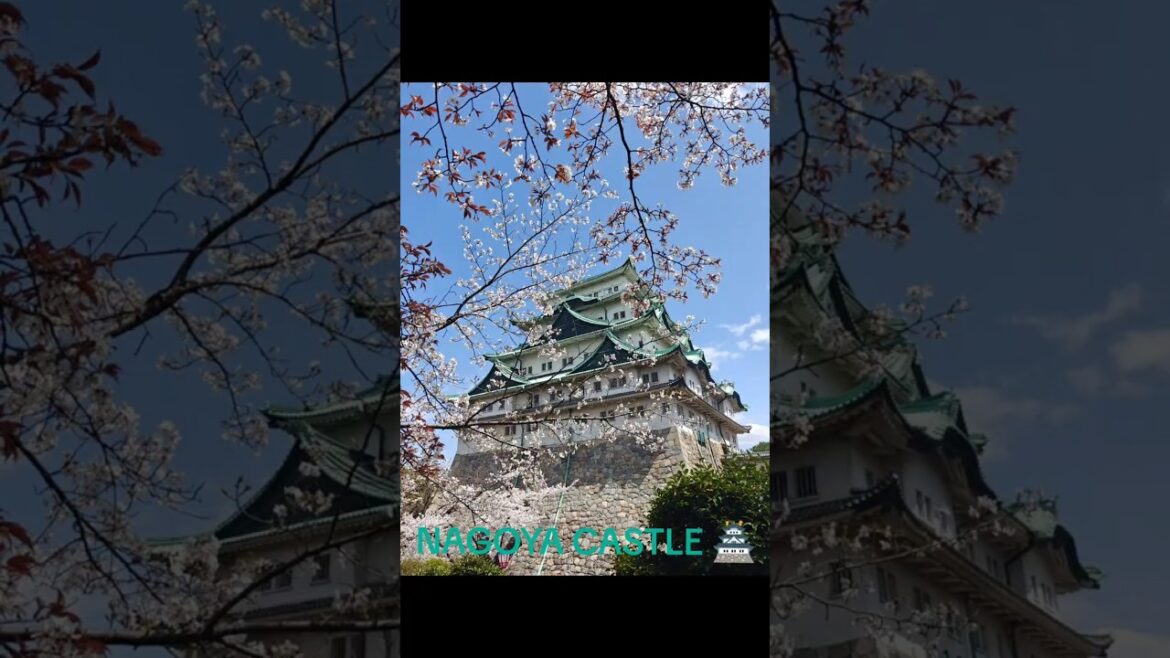 Nagoya Castle 🏯🌸
