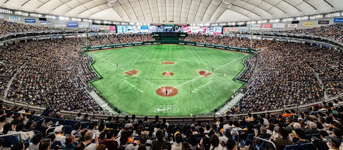 Japanese Baseball in Tokyo: Watching and Practicing a Whole New Ball Game