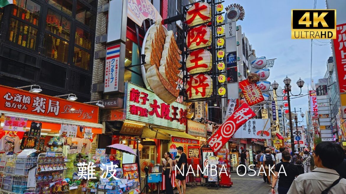 [ Osaka ] Walking tour from Namba station to #dotonbori   #osaka #japan #osaka