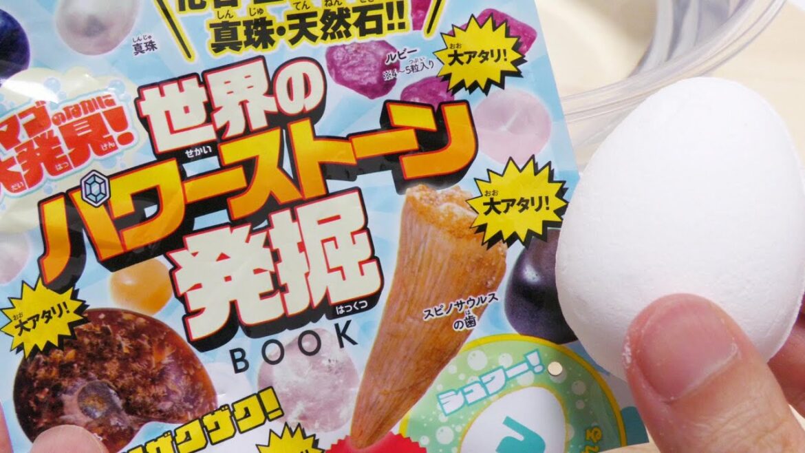 World Gemstone and Fossil Surprise Egg 'World Power Stone Excavation Book'