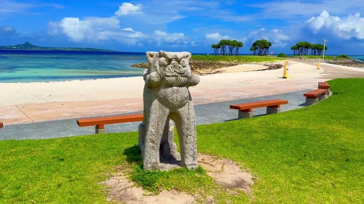 Okinawa Road Trip | Japan Summer Vlog, Beaches & Island Life Okinawa Road Trip | Japan Summer Vlog, Beaches & Island Life