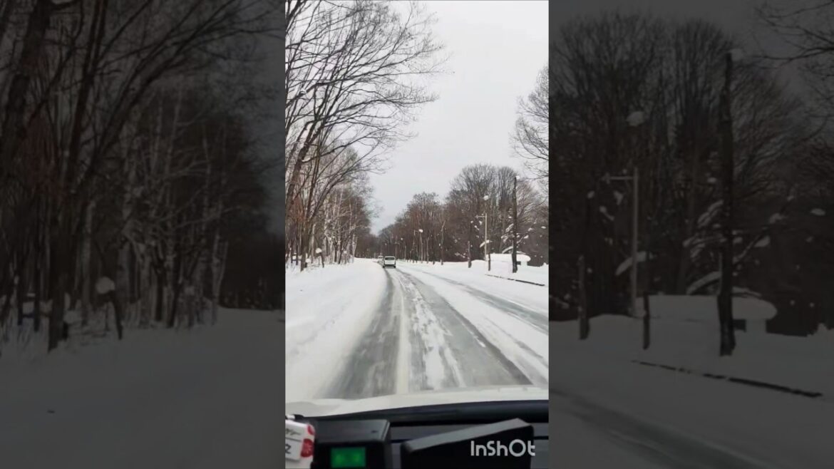 Taxi Ride @ Furano, Hokkaido, Japan 2024