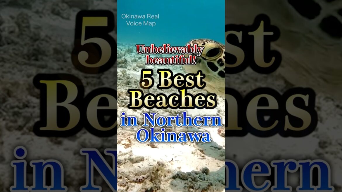 5 Best Beaches in Northern Okinawa