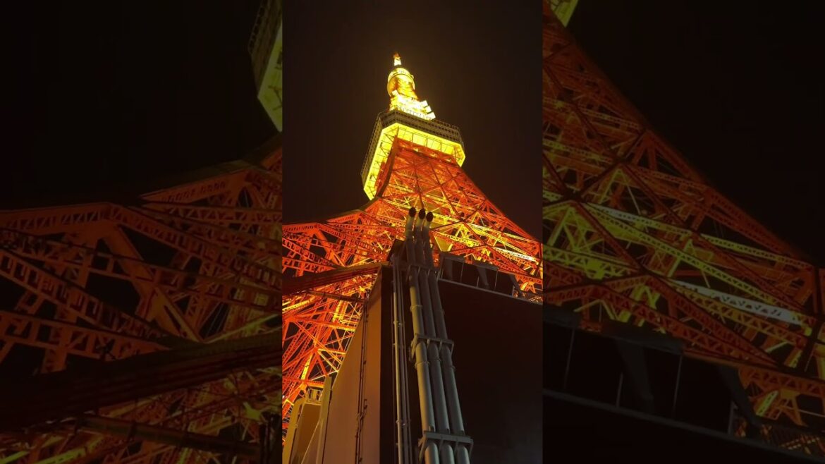 Loved Japan. #vacation #travel