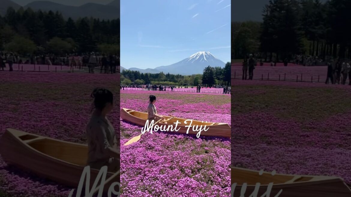 O majestoso Mt.Fuji#japão#japao#travel  #mountfuji#mtfuji#montefuji