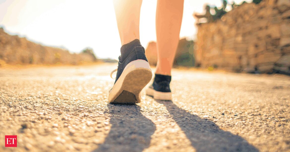 10,000 steps vs 30 minutes of Japanese walking: Harvard doctor reveals which boosts health more