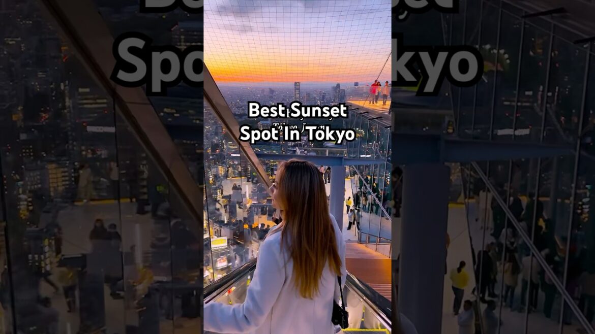 6:30pm in Tokyo.📍Shibuya Sky, best sunset spot in the city! #tokyotravel #shibuya #shibuyasky