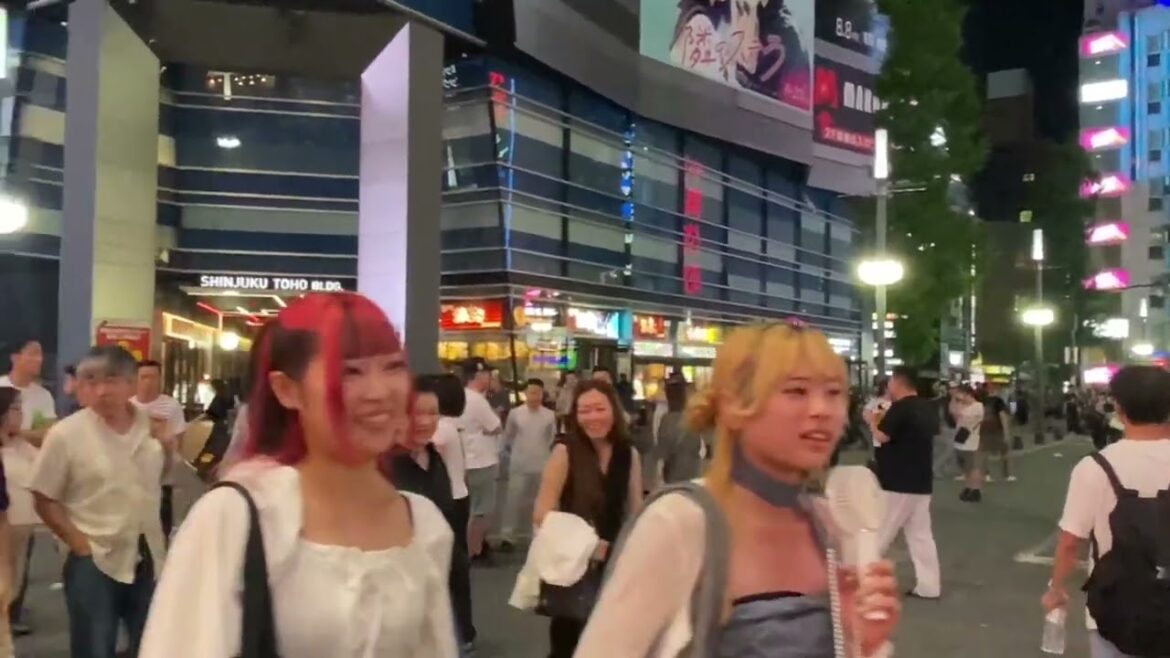 Shinjuku Kabukicho Street View 2025 | Japan Tokyo Tour