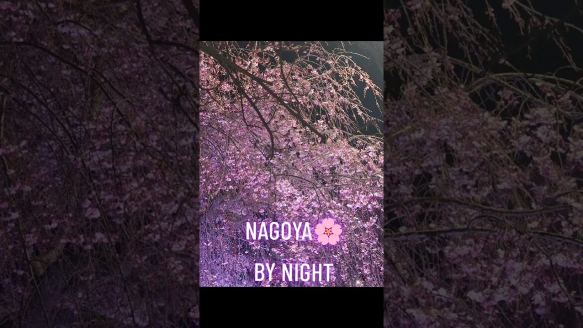 Hidden Gems 💎 of Japan 🇯🇵 - Nagoya By Night