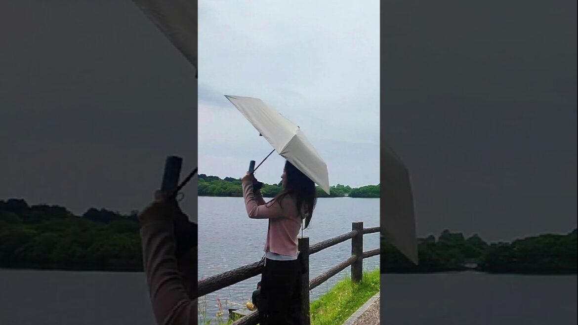 Mount Fuji From Lake Tanuki π» Picture Perfect View #shorts #travel Mount Fuji From Lake Tanuki π» Picture Perfect View #shorts #travel